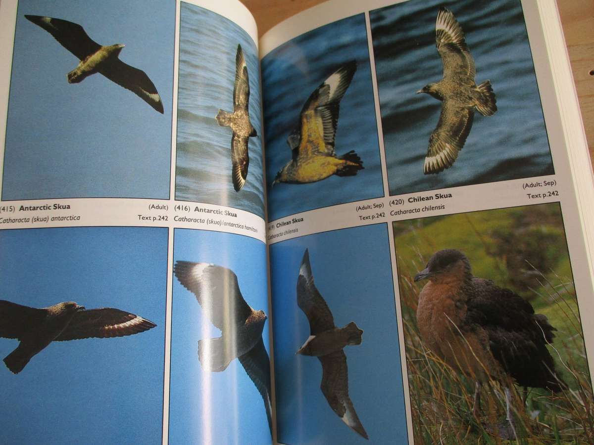 Seabirds of the World - A Photographic Guide