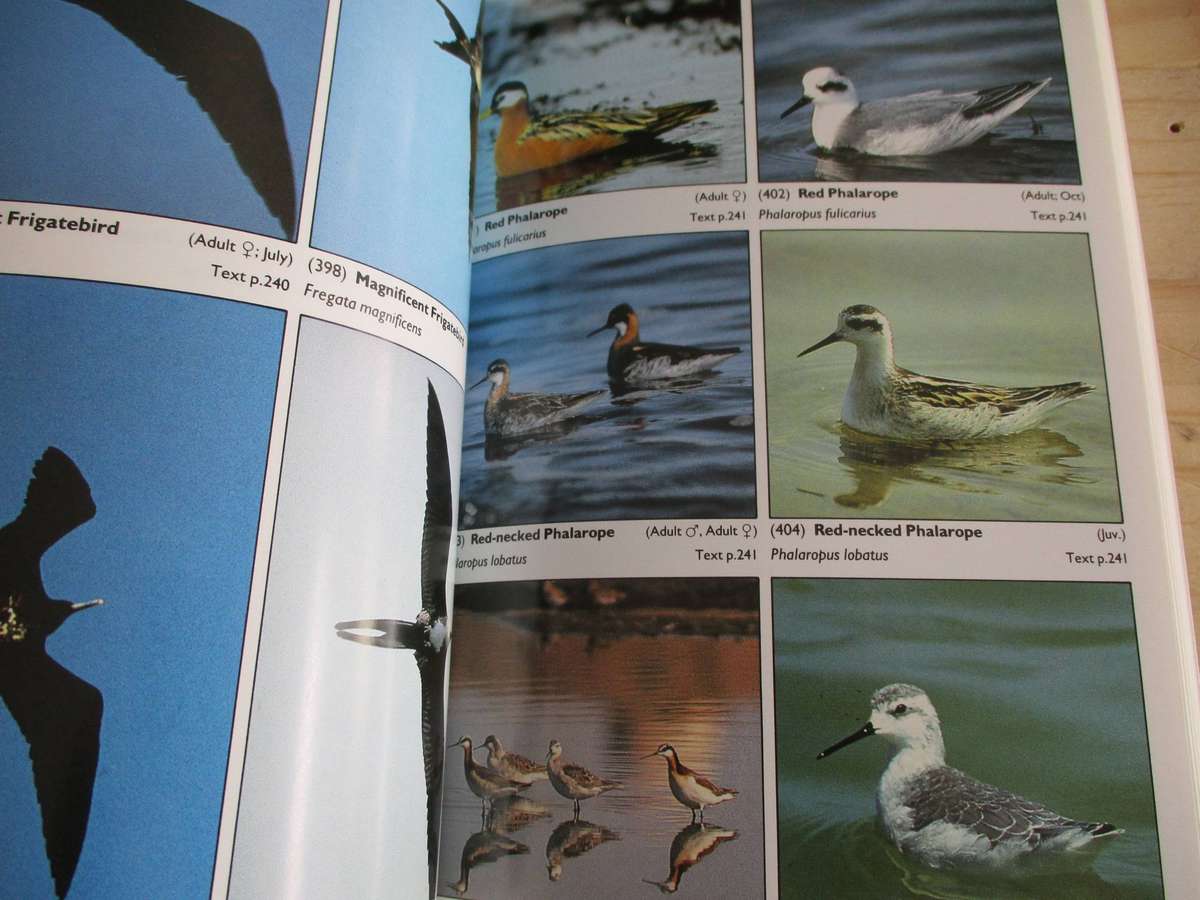 Seabirds of the World - A Photographic Guide