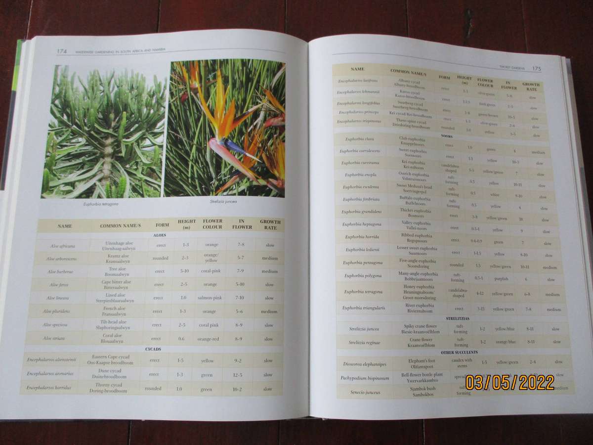 Waterwise Gardening in South Africa and Namibia. By Ernst van Jaarsveld
