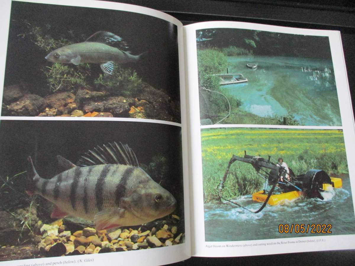 The Trout: A fisherman's natural history. Rupert Watson (Signed)