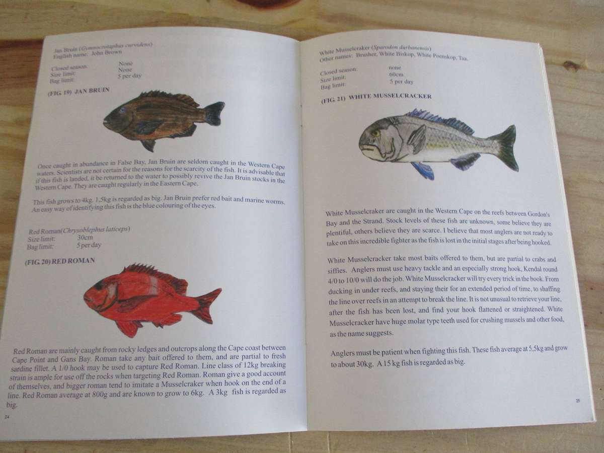 Entry level FISHING CAPE COAST