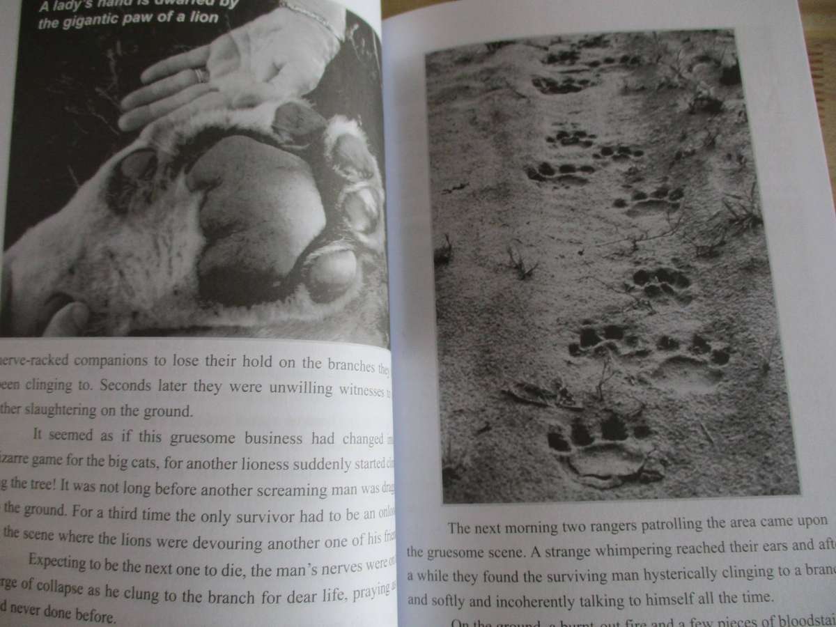 The Silent Heroes of the African Bush - Jan Rodrigues