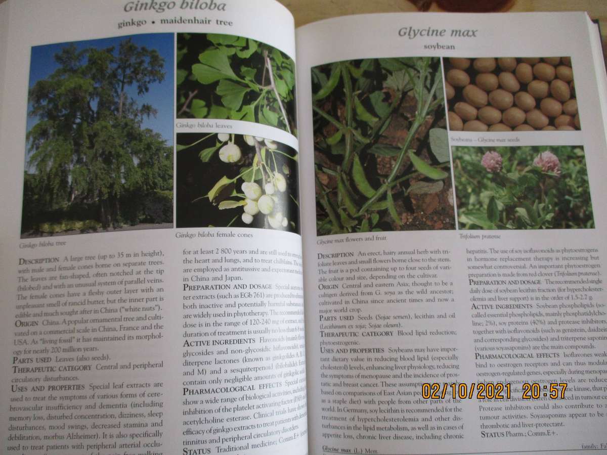 Medicinal Plants of the World - Ben-Erik van Wyk & Michael Wink