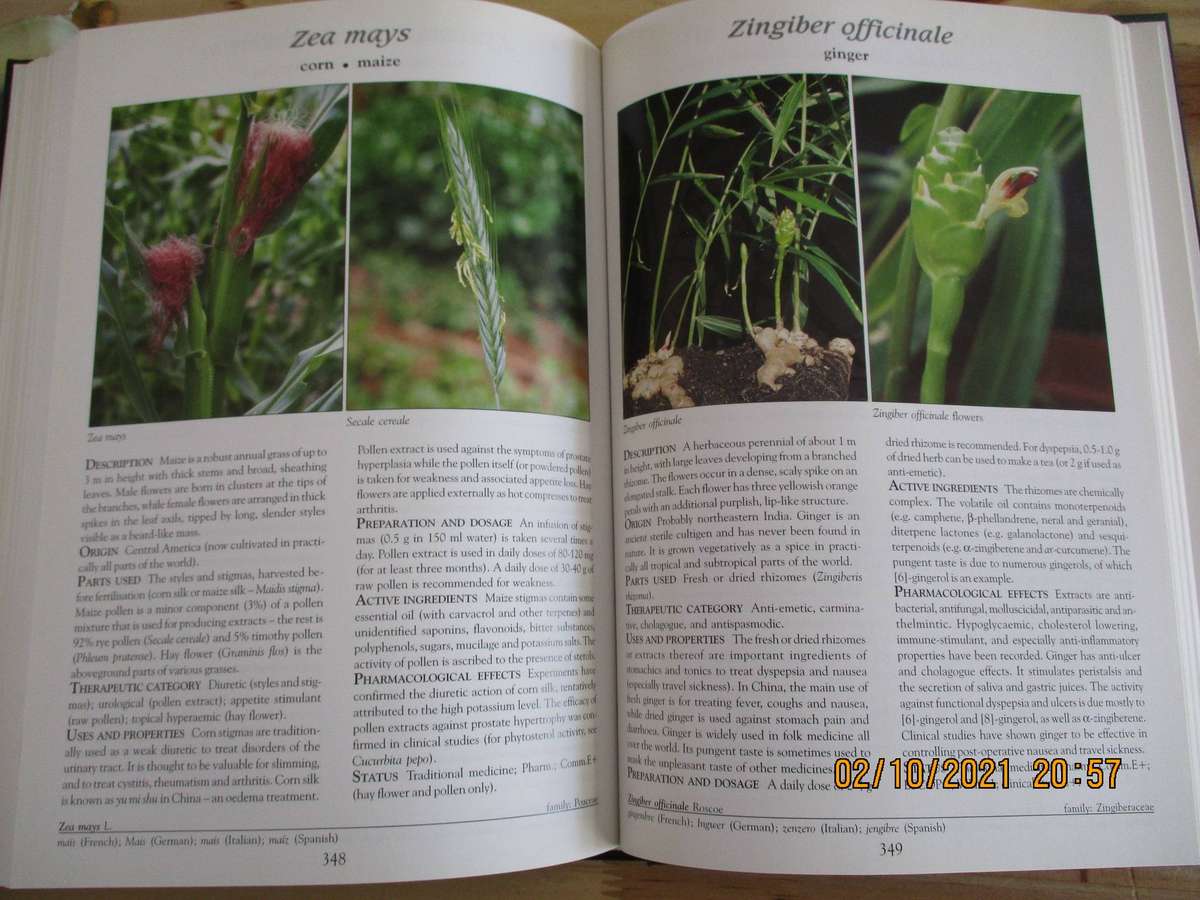 Medicinal Plants of the World - Ben-Erik van Wyk & Michael Wink