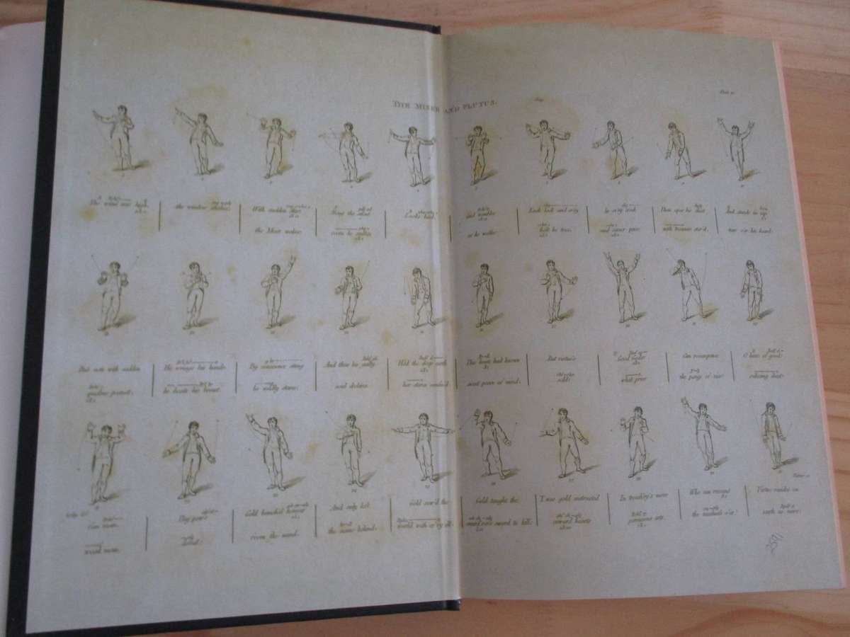 I See a Voice - Language, Deafness & the Senses. A Philosophical History. By Jonathan Ree