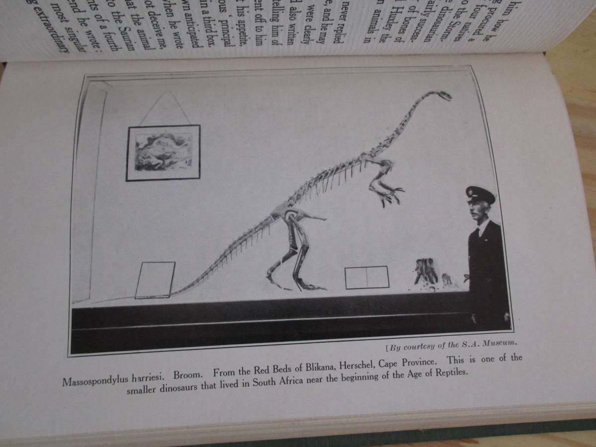 GOGGA BROWN - The life-story of Alfred Brown, South Africa's Hermit-Naturalist