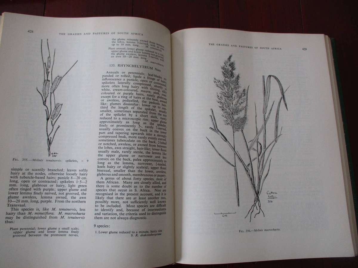 The Grasses & Pastures of South Africa