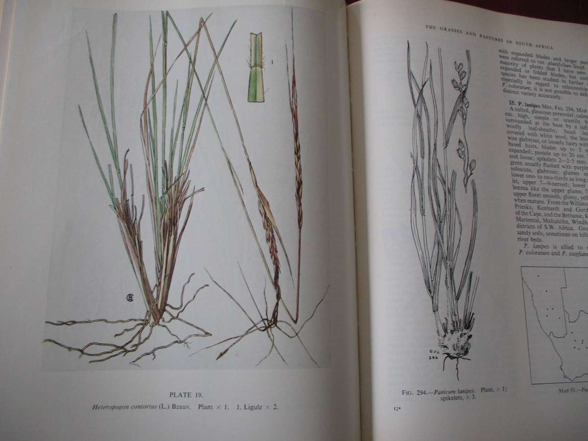 The Grasses & Pastures of South Africa