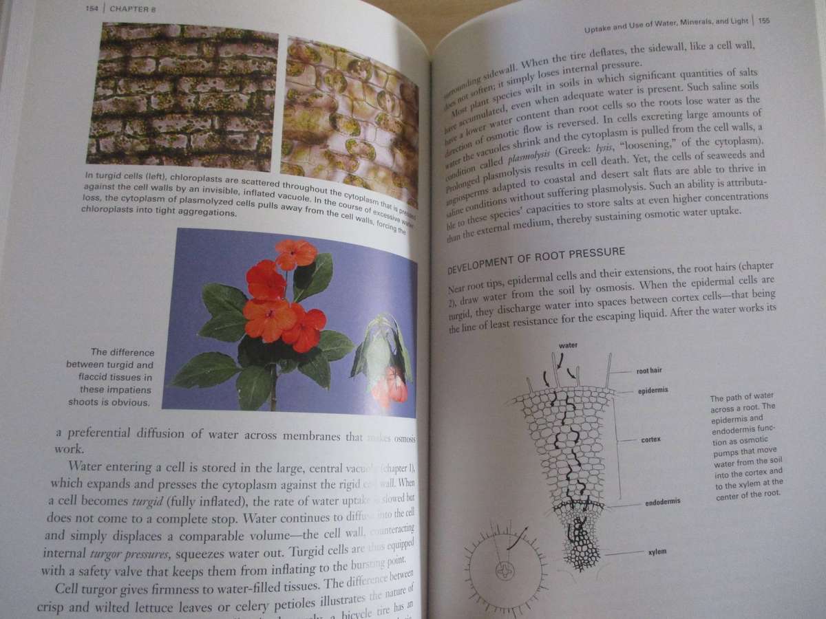 Botany for Gardeners. By Brian Capon (Briza for Gardeners)