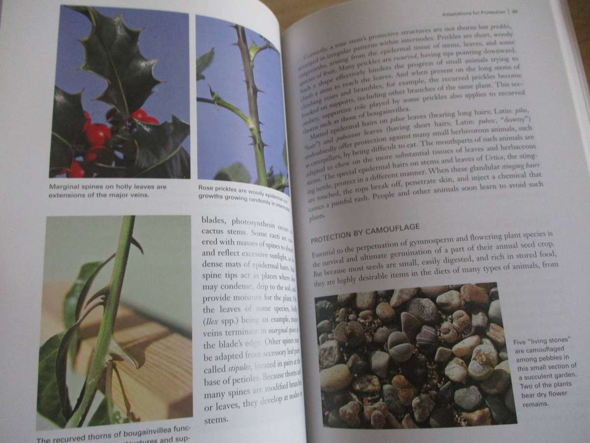 Botany for Gardeners. By Brian Capon (Briza for Gardeners)