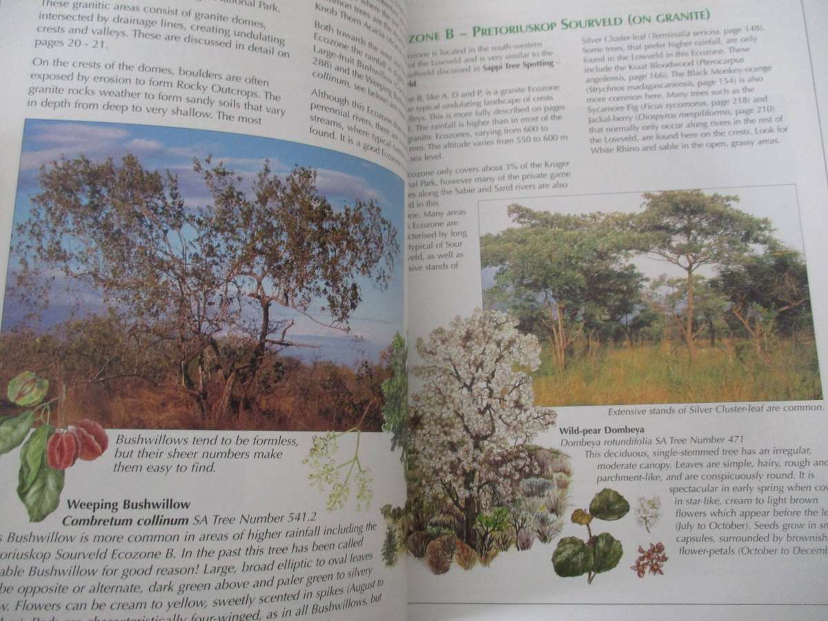 Sappi Tree Spotting - LOWVELD including Kruger National Park