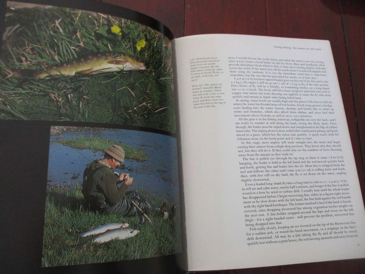 The Art of Flyfishing by Brian Harris