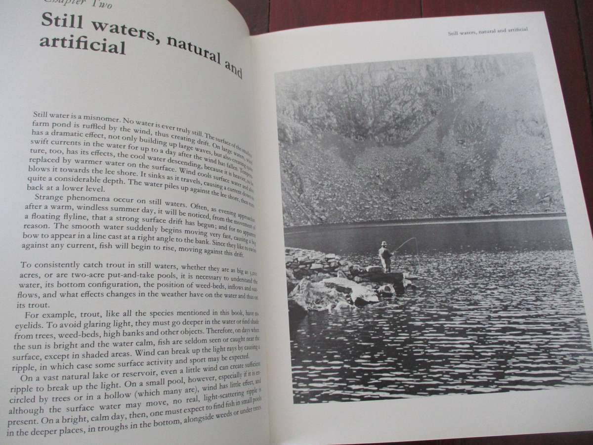 The Art of Flyfishing by Brian Harris