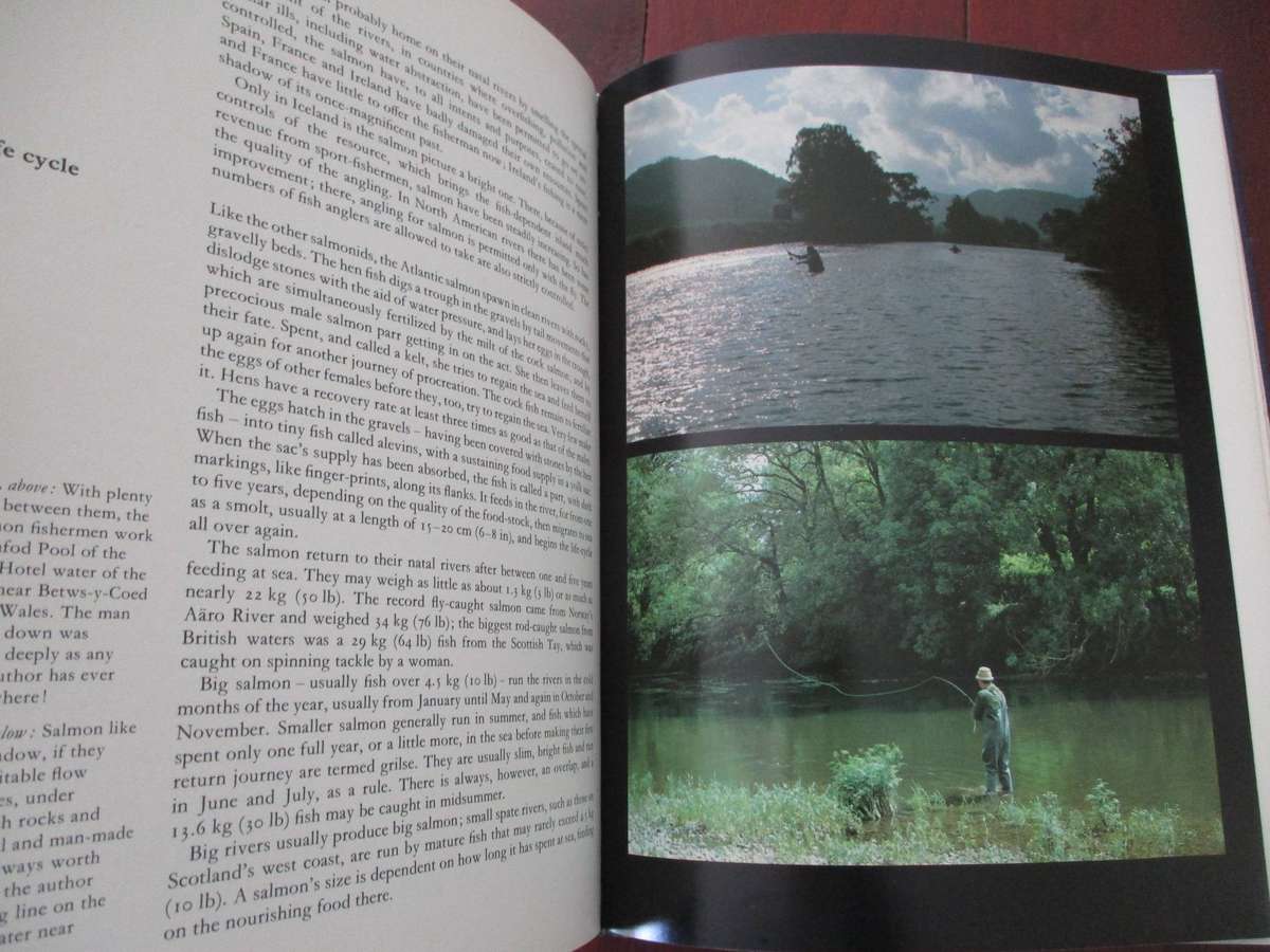 The Art of Flyfishing by Brian Harris