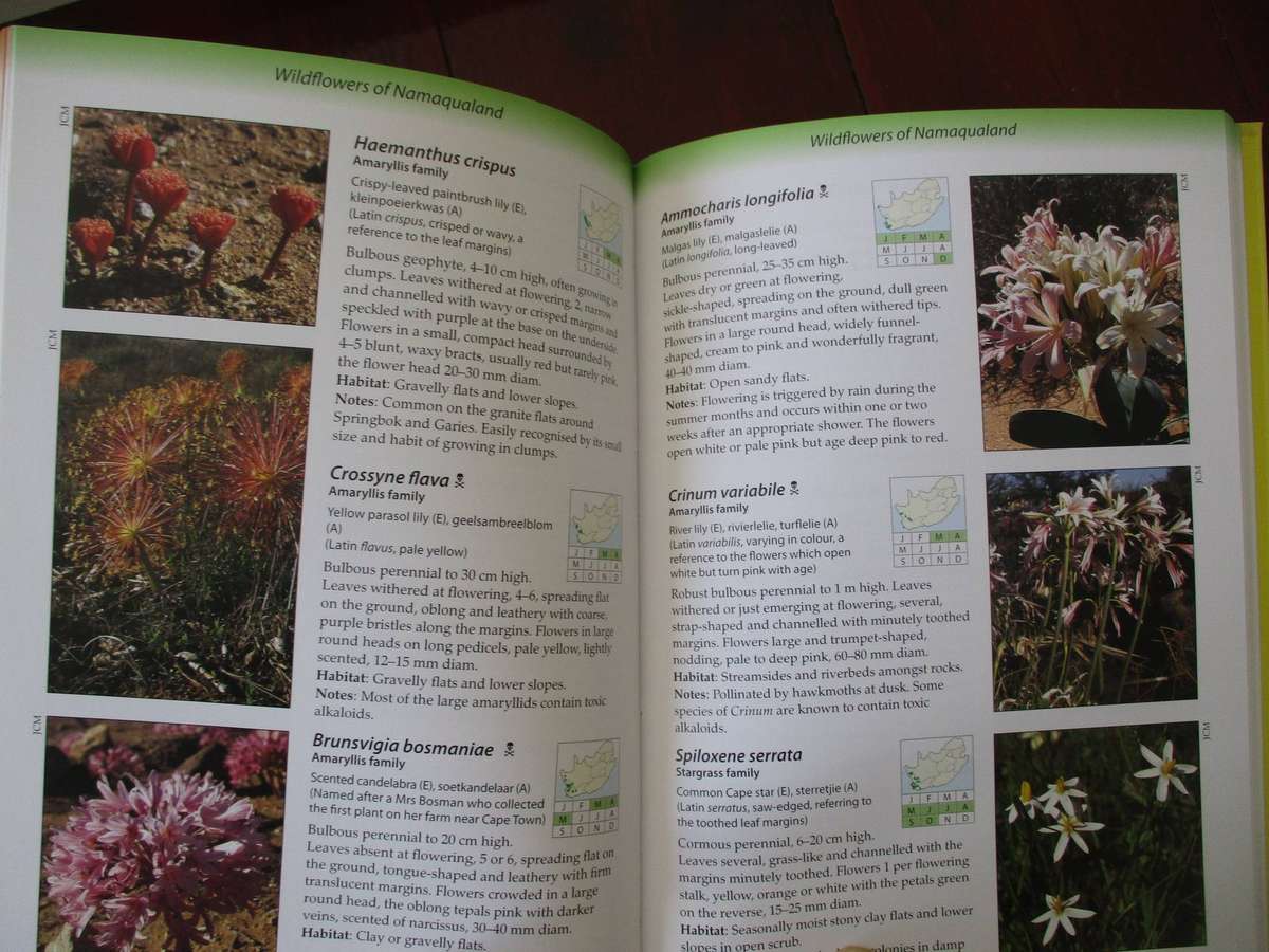 Ecoguide - Namaqualand