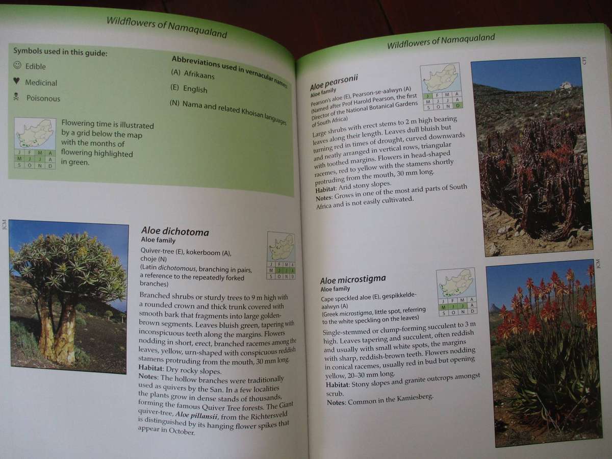 Ecoguide - Namaqualand