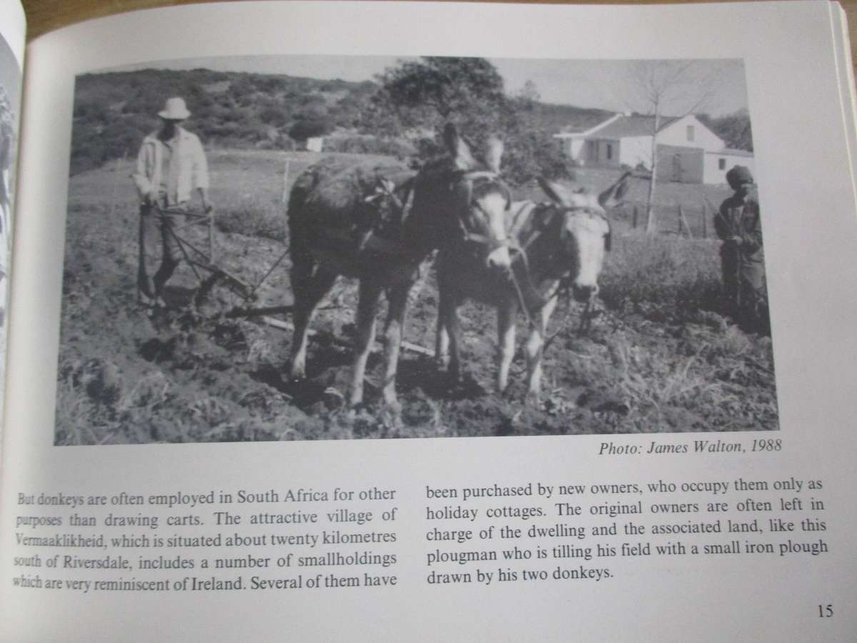 A Tribute to the Donkey - James Walton