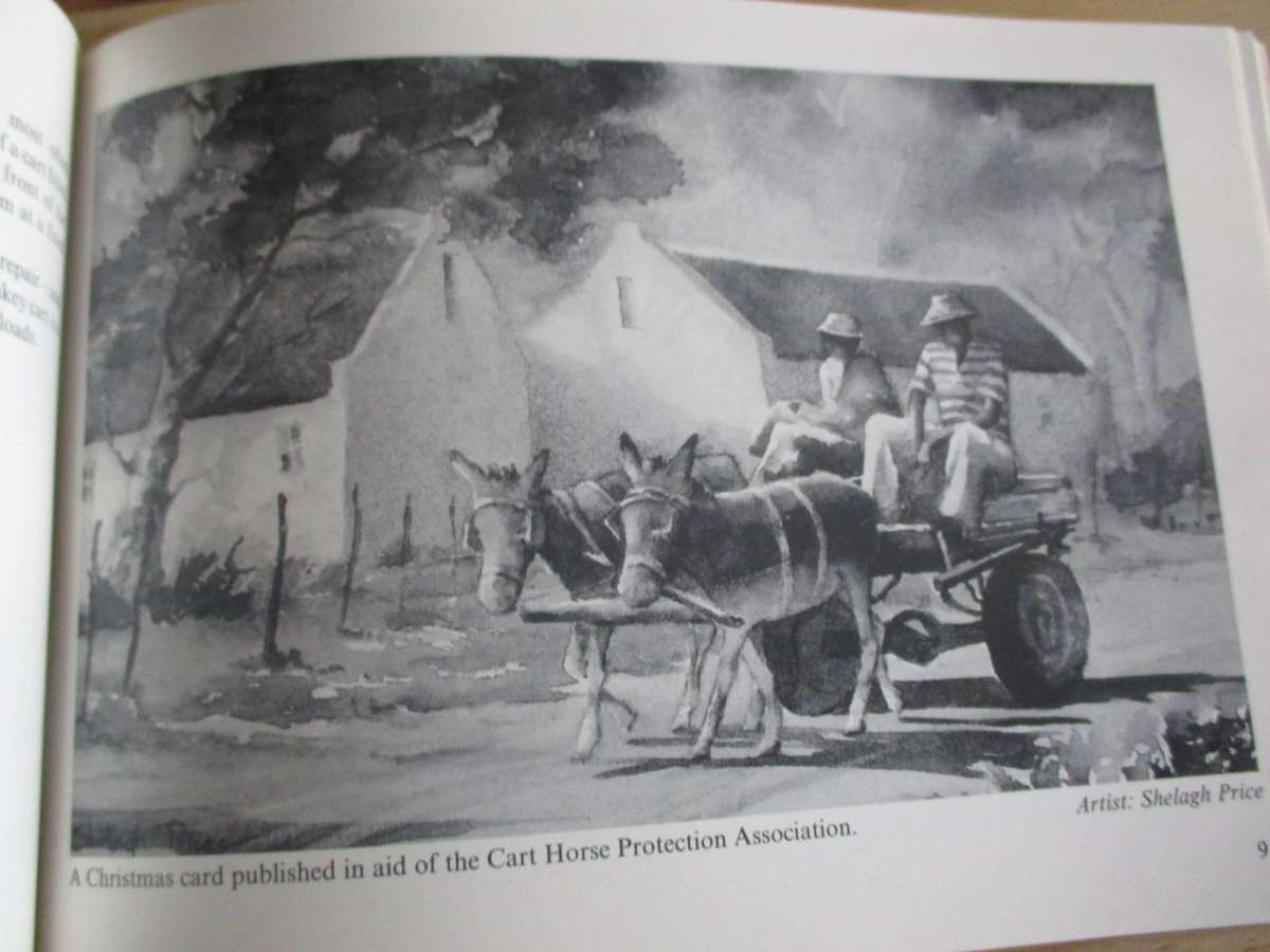 A Tribute to the Donkey - James Walton