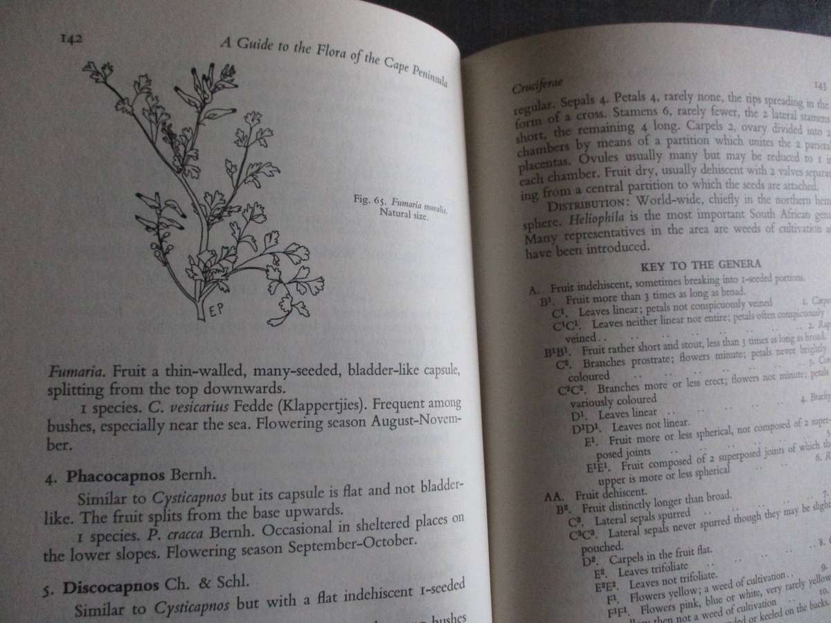 Guide to the Flora of the Cape Peninsula - By M.R. Levins