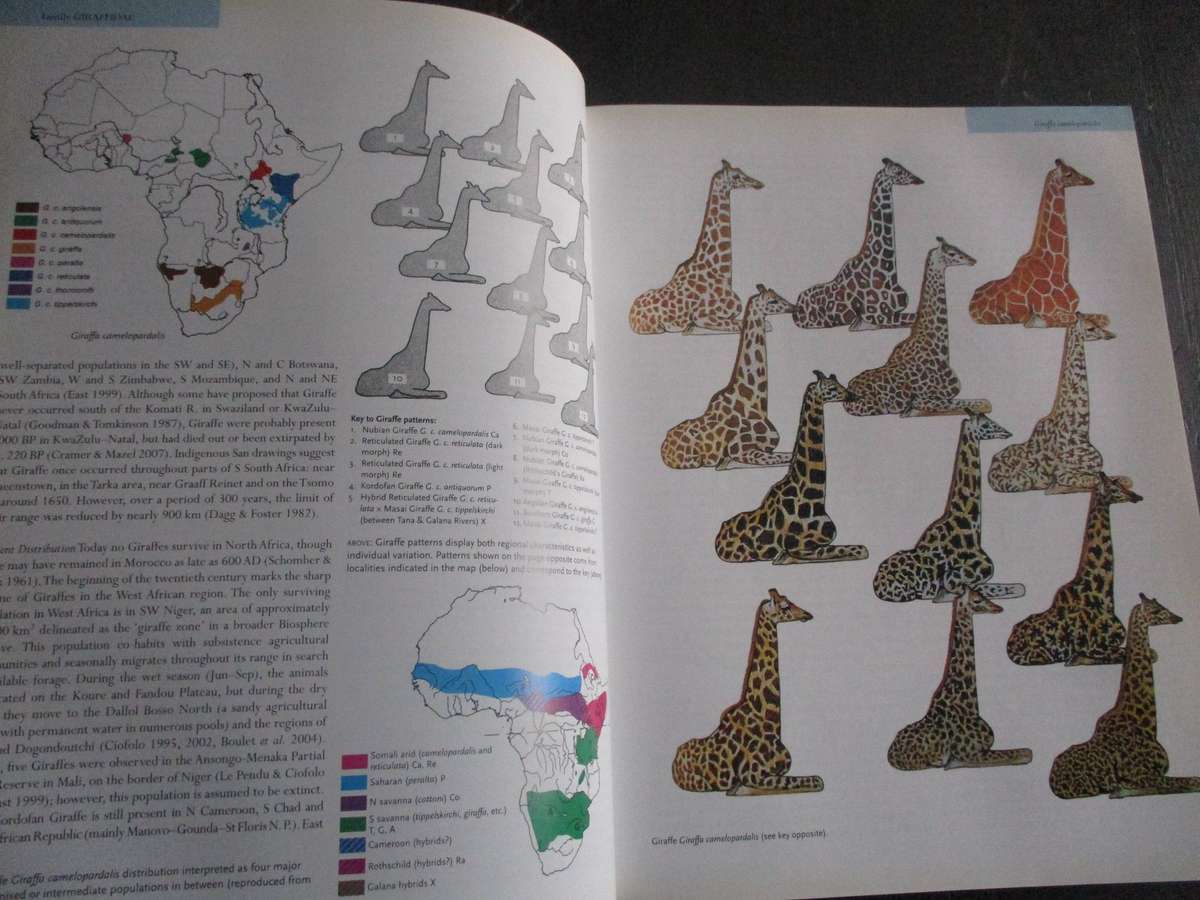 MAMMALS OF AFRICA Volume IV - Pigs, Hippopotamuses, Giraffes, Deer and Bovids