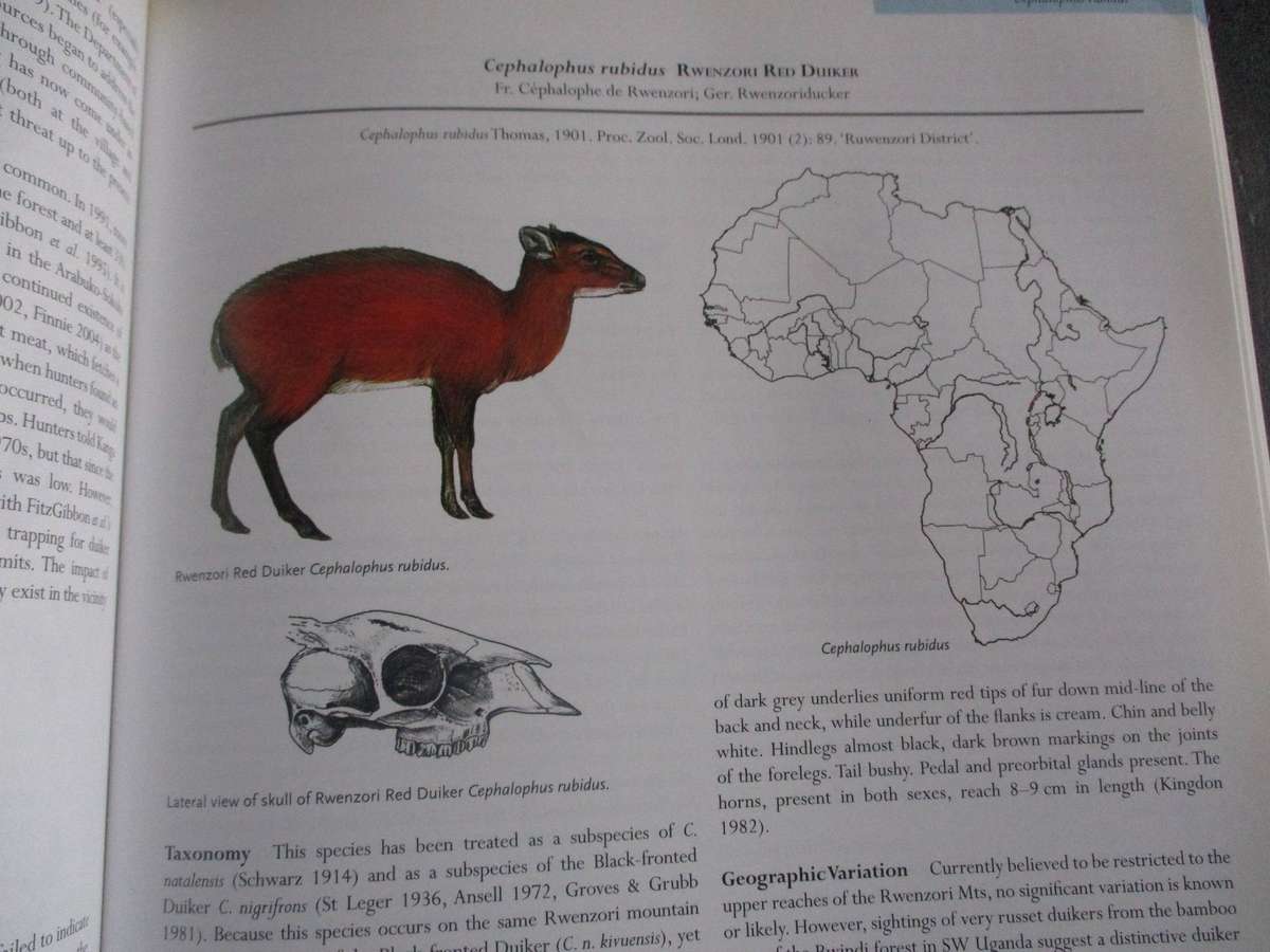 MAMMALS OF AFRICA Volume IV - Pigs, Hippopotamuses, Giraffes, Deer and Bovids