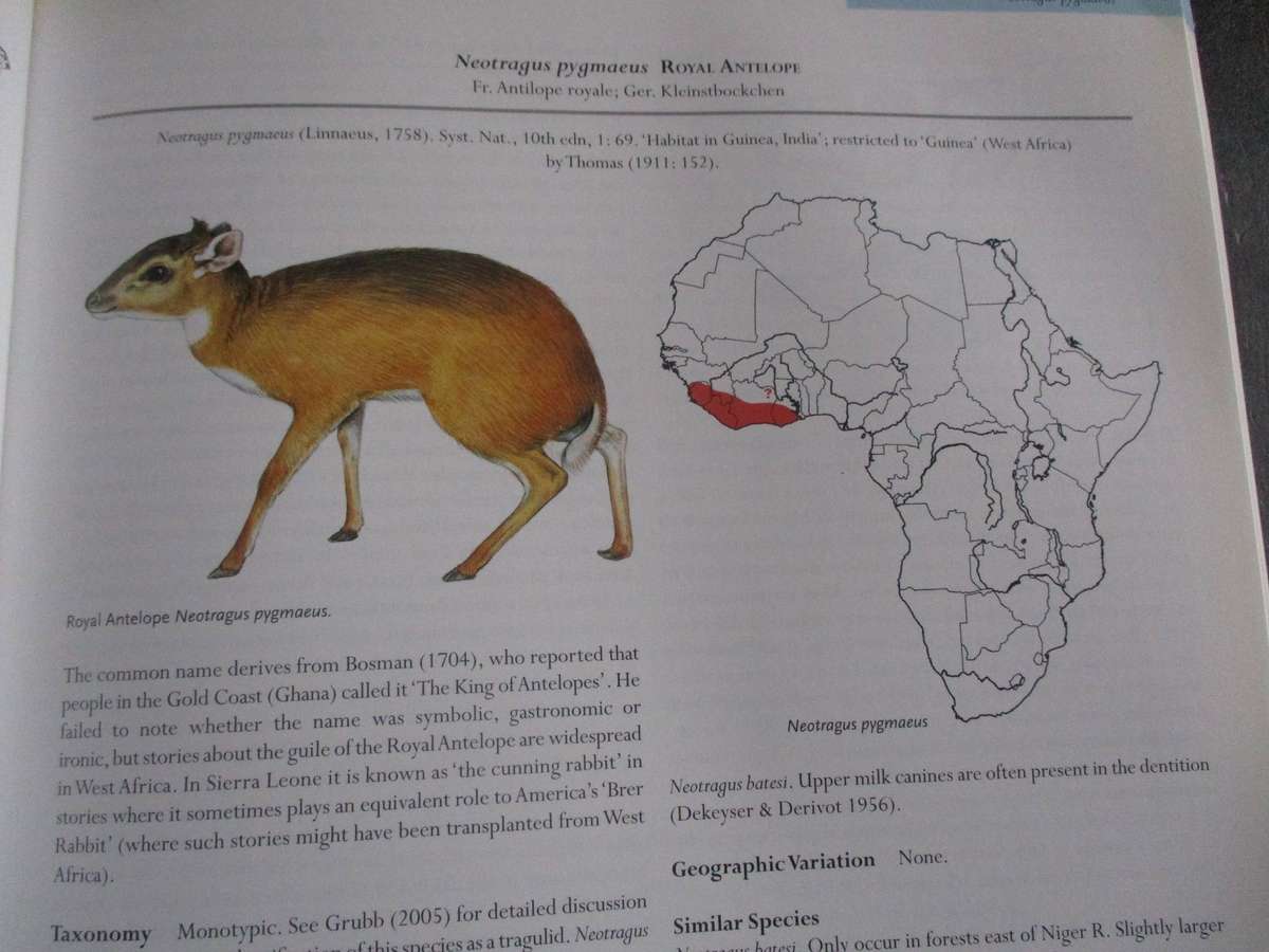MAMMALS OF AFRICA Volume IV - Pigs, Hippopotamuses, Giraffes, Deer and Bovids