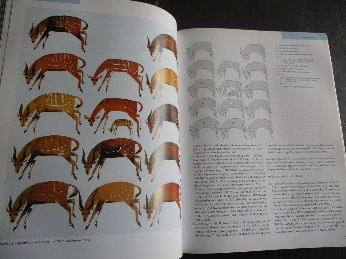 MAMMALS OF AFRICA Volume IV - Pigs, Hippopotamuses, Giraffes, Deer and Bovids