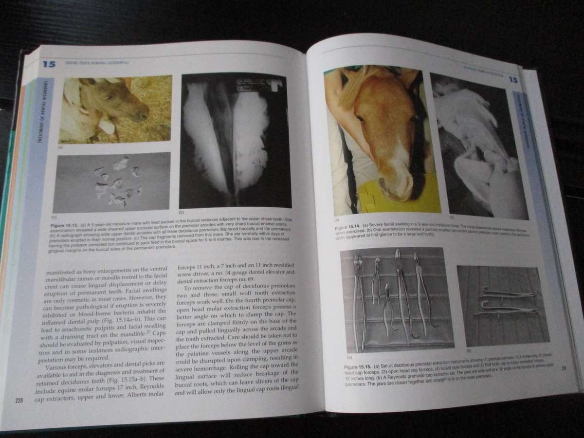 Equine Dentistry - Gordon J Baker & Jack Easly (eds)