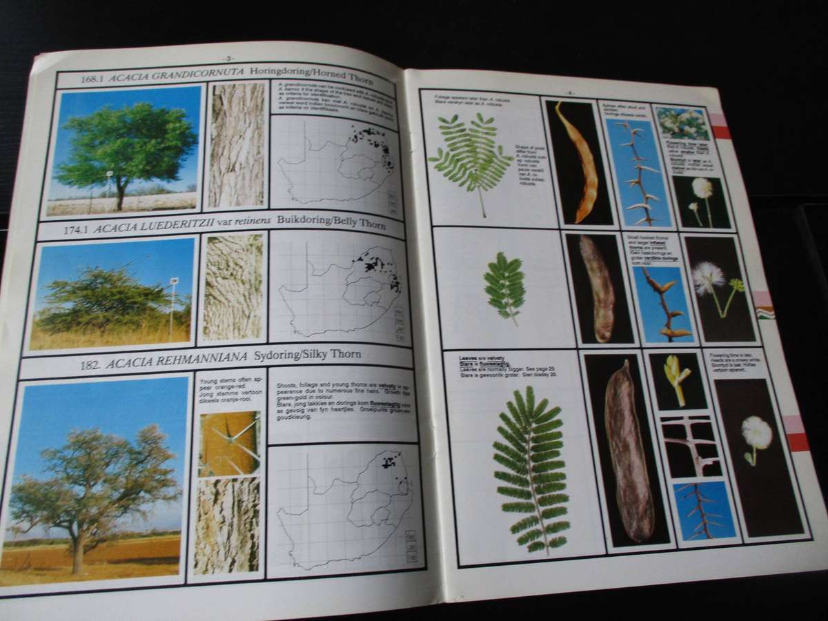 SA Acacias - Identification Guide / Identifikasiegids