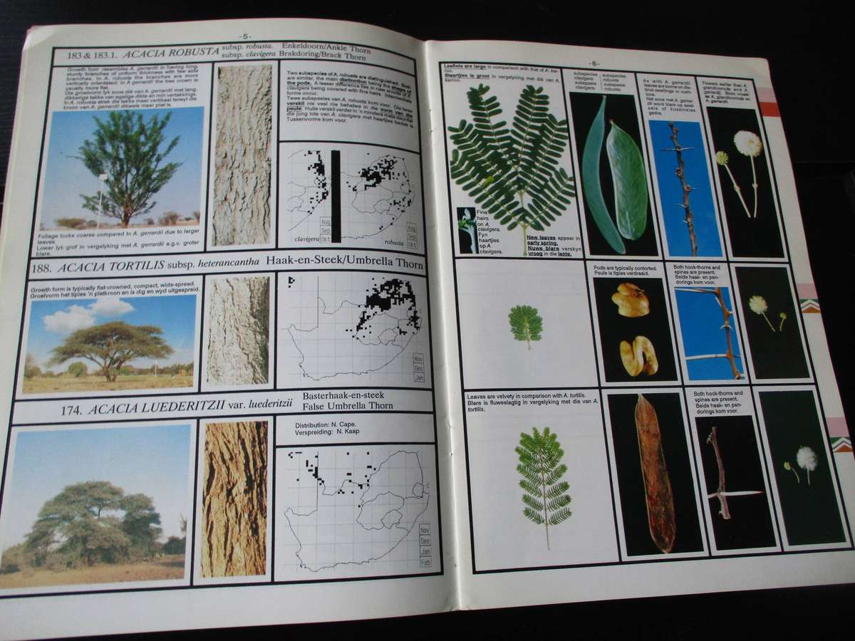 SA Acacias - Identification Guide / Identifikasiegids