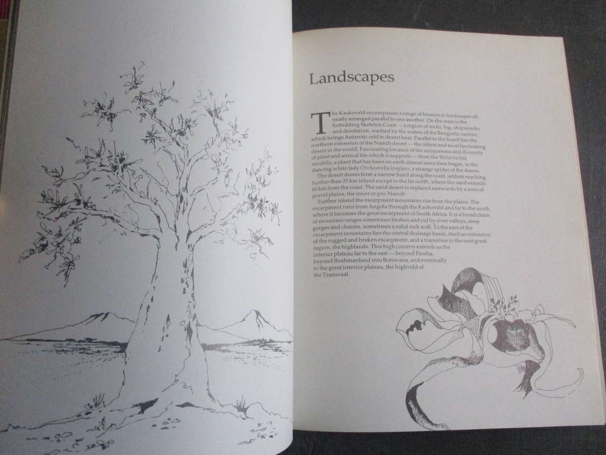 Kaokoveld - The Last Wilderness
