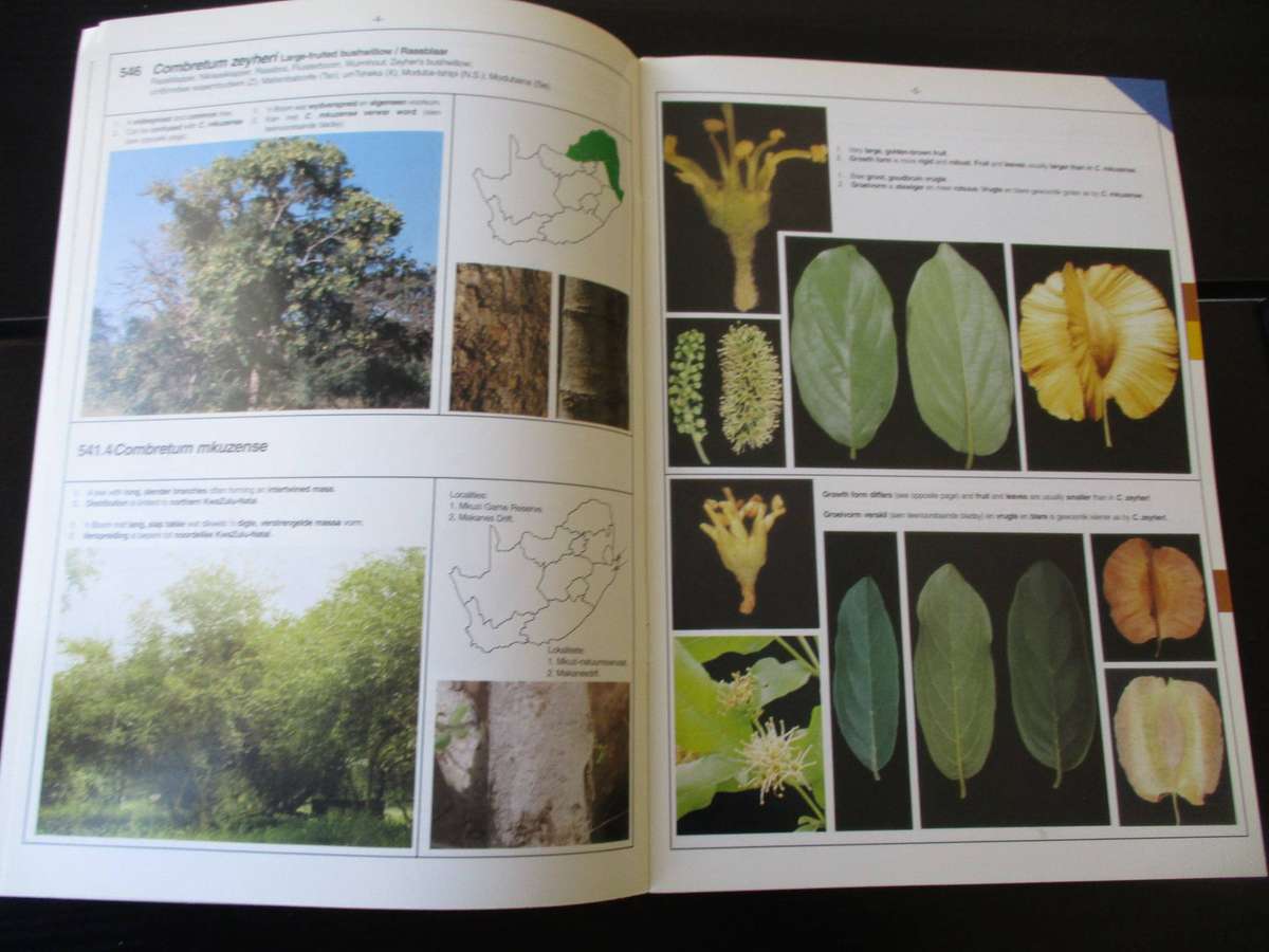 SA Combretum & Terminalia Identification Guide / Identifikasiegids