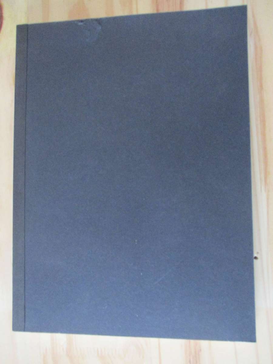 Photoplay - Josh Ginsburg & Matthew King (signed)