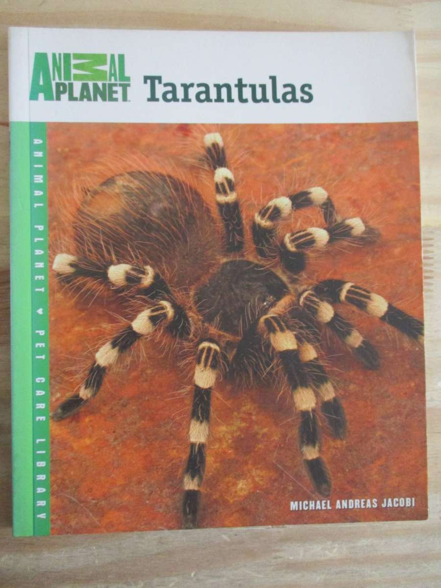 Tarantulas