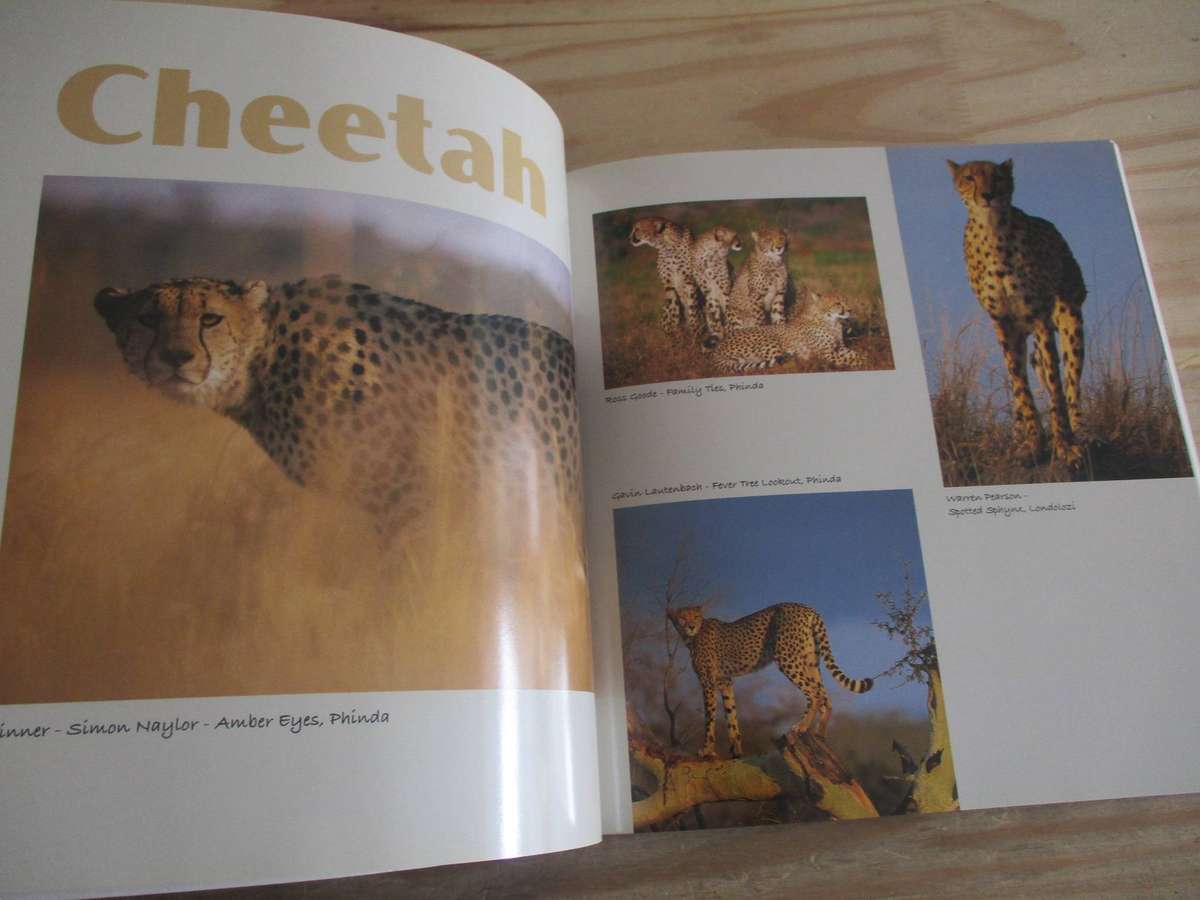 CC Africa - Ecological Journal Volume 5