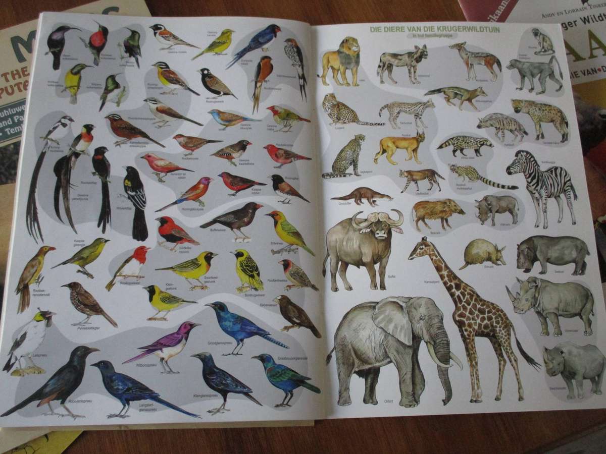 5 Kruger National Park Booklets/Maps