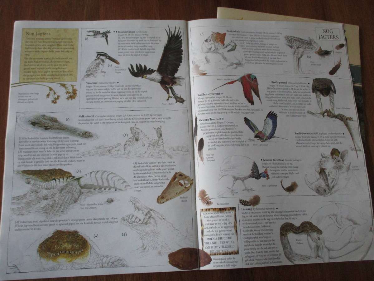 5 Kruger National Park Booklets/Maps