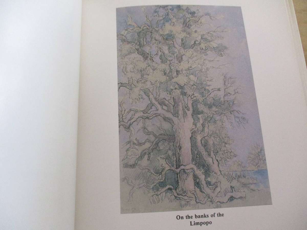 Gregoire Boonzaier - Impressions of Trees