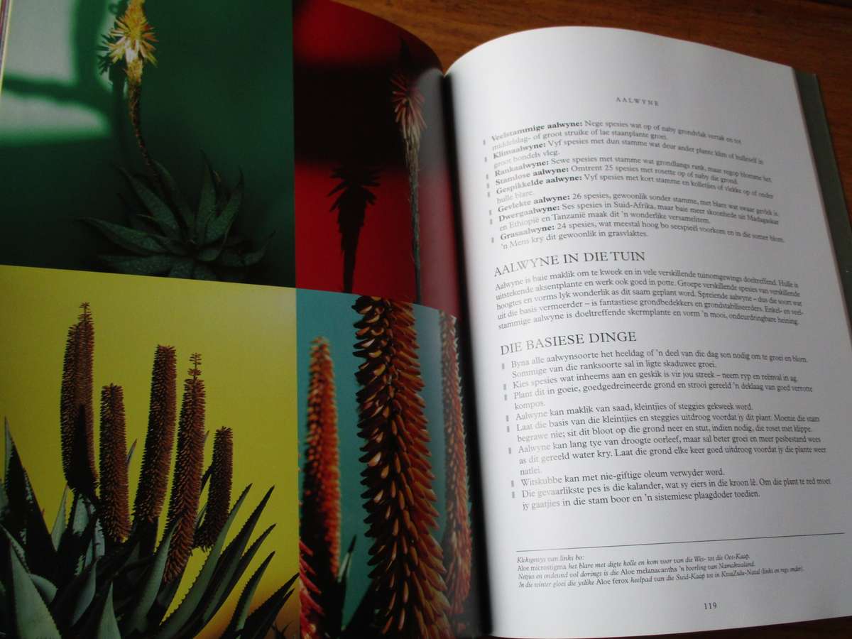 Immergroen  Stories oor plante  Dave Pepler Foto's deur Lien Botha