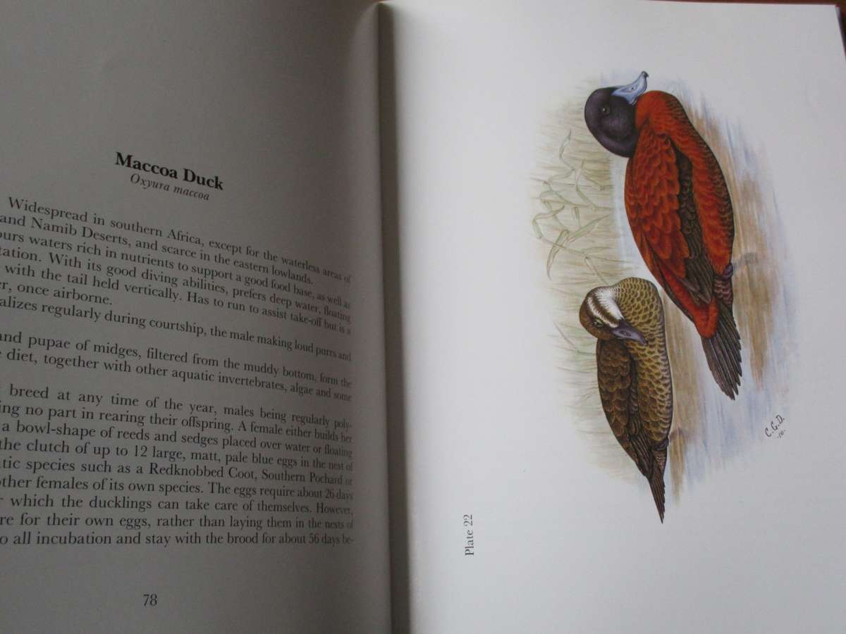 GAMEBIRDS & WATERFOWL OF SOUTHERN AFRICA  C.G. Finch-Davies