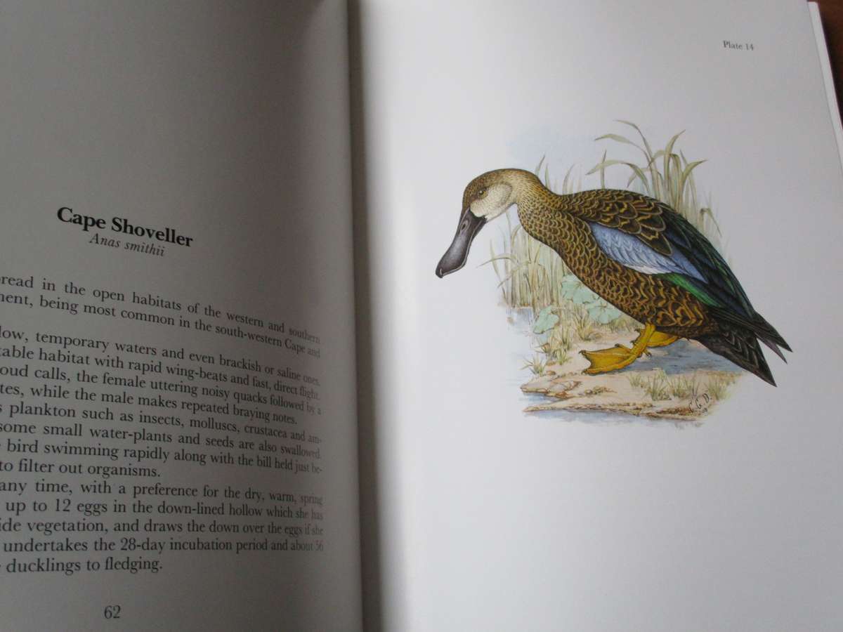 GAMEBIRDS & WATERFOWL OF SOUTHERN AFRICA  C.G. Finch-Davies