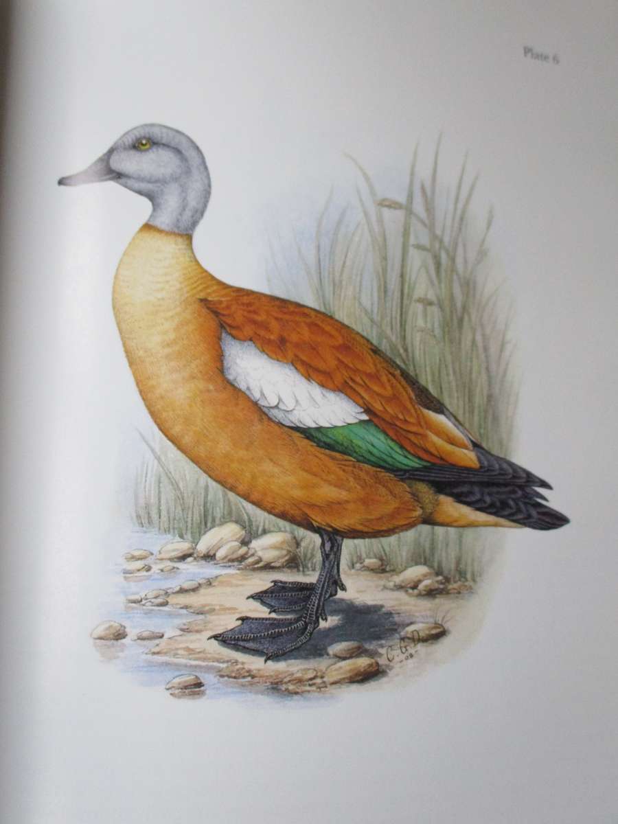 GAMEBIRDS & WATERFOWL OF SOUTHERN AFRICA  C.G. Finch-Davies