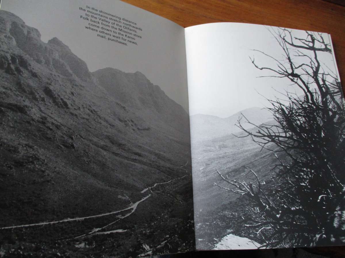 Cedar People  Tom Burgers