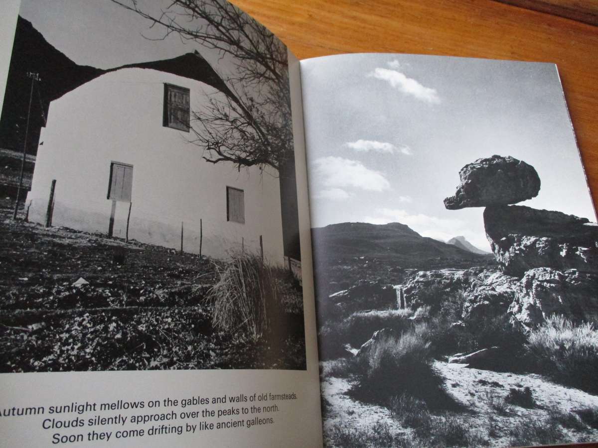 Cedar People  Tom Burgers