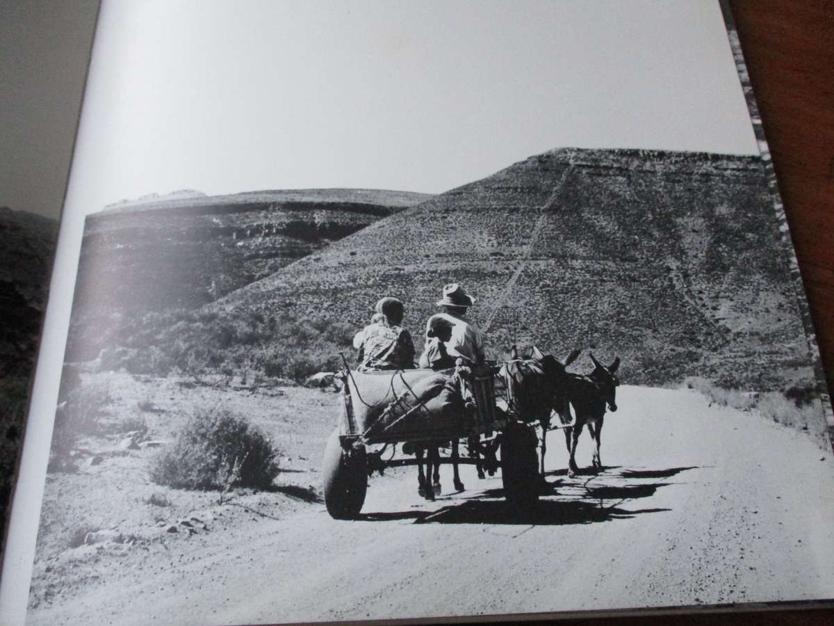 Cedar People  Tom Burgers