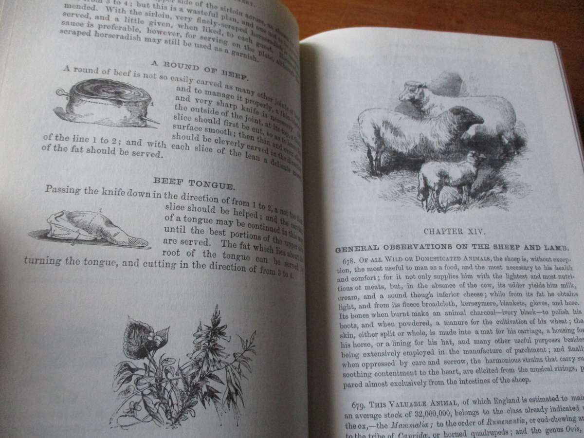 MRS BEETON'S  book of Household Management