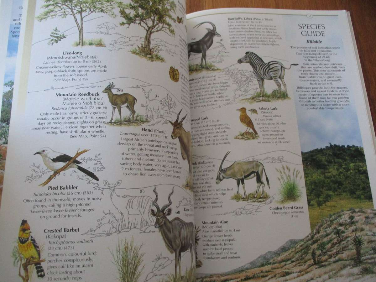 Pilanesberg: The Complete Eco-guide