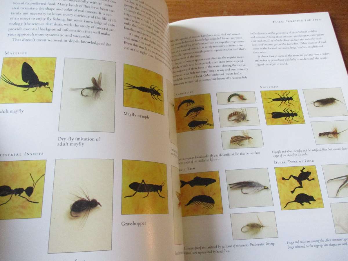 Fly Fishing Equipment & Techniques  Jaennot Ruel