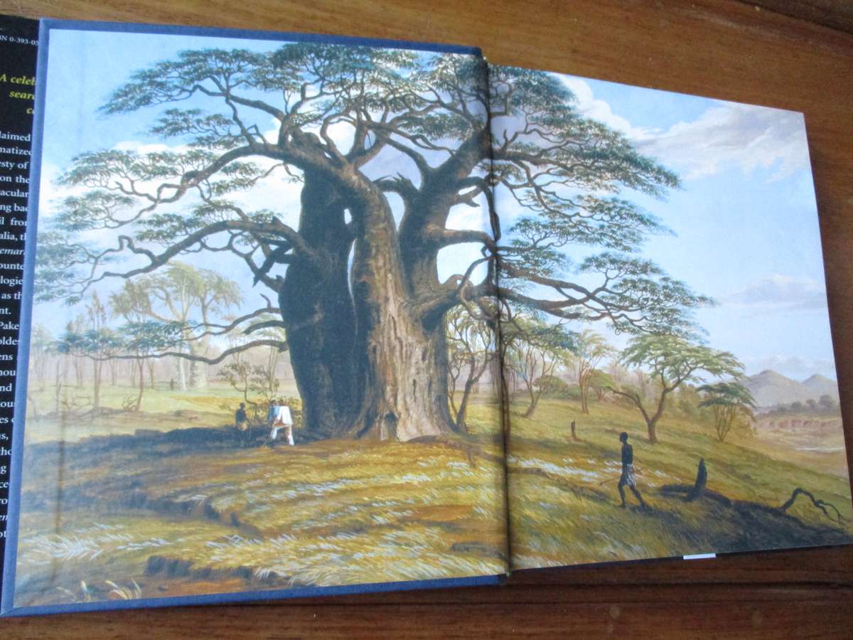 THE REMARKABLE BAOBAB  THOMAS PAKENHAM