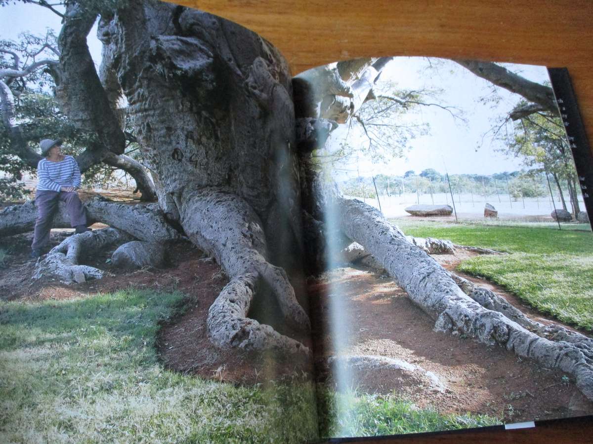 THE REMARKABLE BAOBAB  THOMAS PAKENHAM